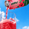 Raspberry Hibiscus — view 2